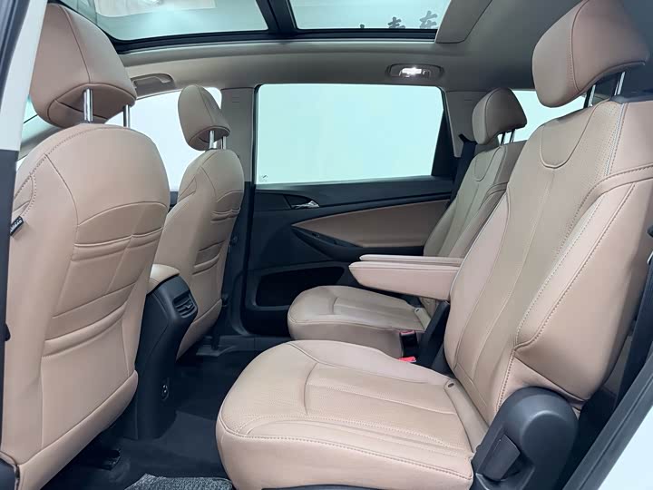 Фото 18 - Buick GL6