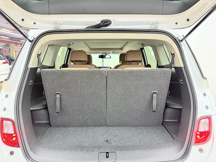 Фото 20 - Buick GL6