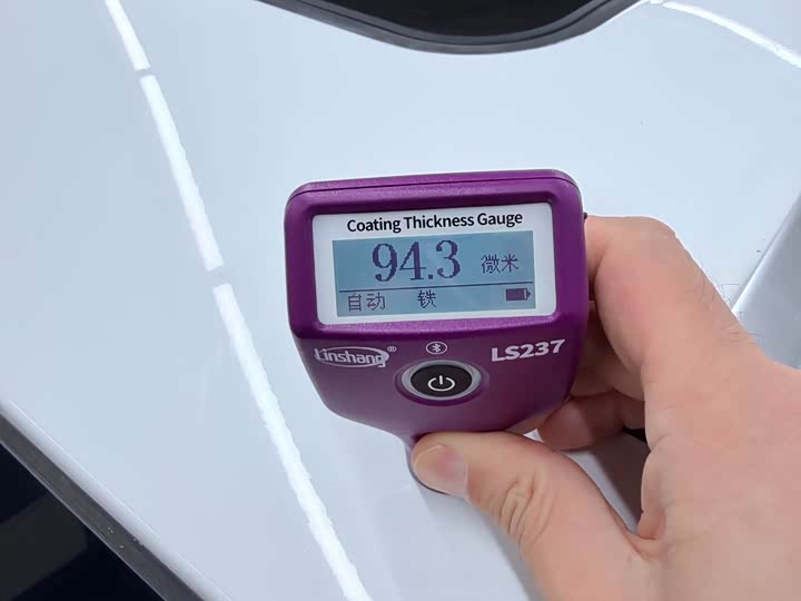 Фото 24 - Buick GL6