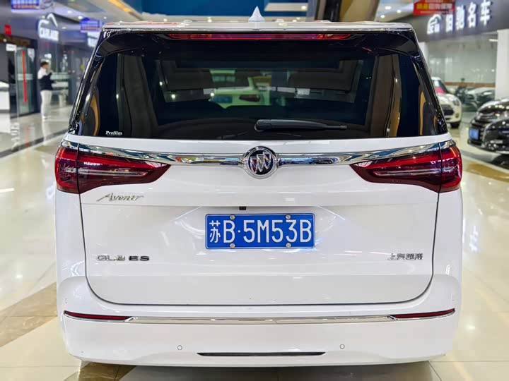 Фото 10 - Buick GL8 ES