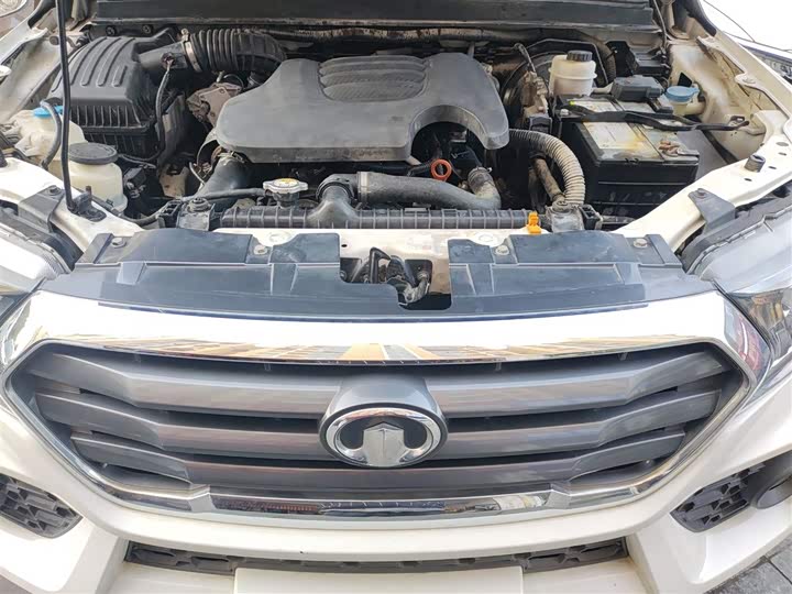 Фото 11 - Great Wall Wingle 7