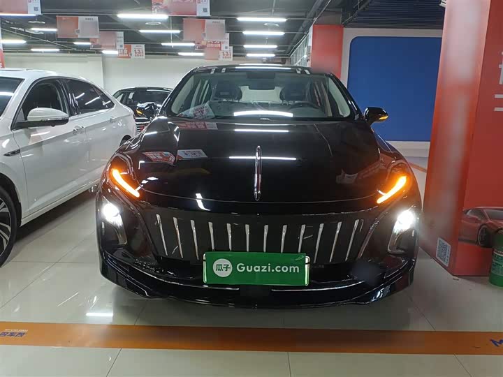 Фото 3 - Hongqi E-QM5