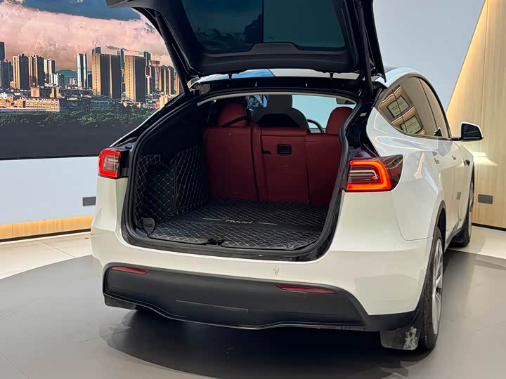 Фото 11 - Tesla Model Y