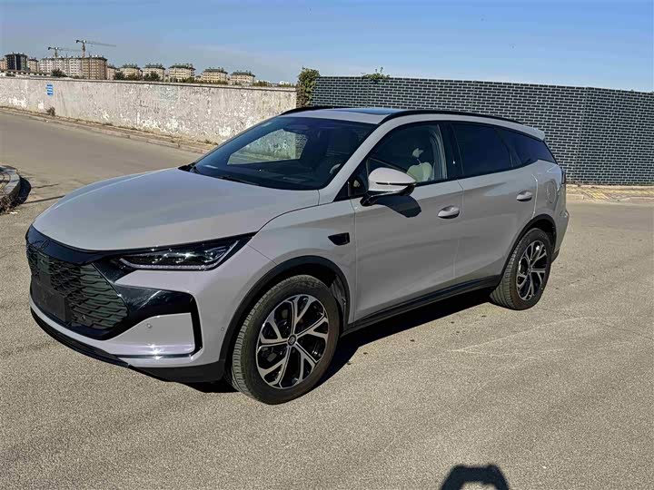 Фото 1 - BYD Tang Hybrid/EV