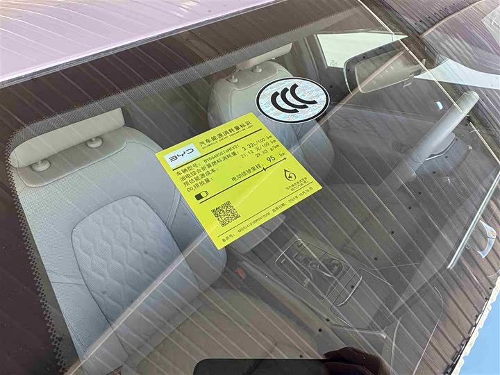 Фото 21 - BYD Tang Hybrid/EV