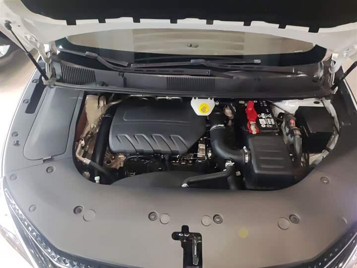 Фото 20 - Dongfeng Forthing Yacht