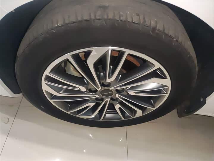 Фото 23 - Dongfeng Forthing Yacht