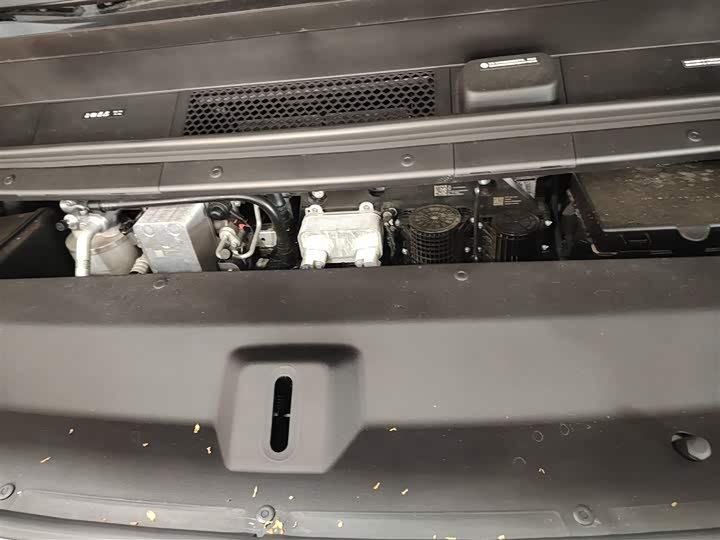 Фото 20 - LiXiang Mega