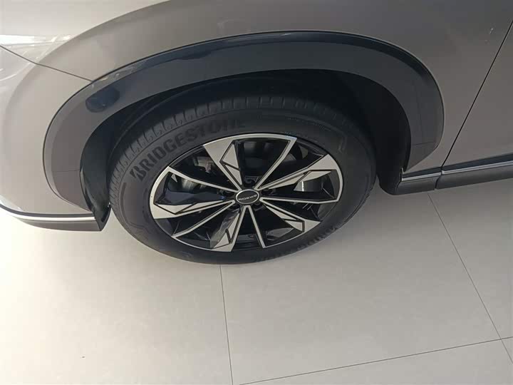 Фото 23 - Roewe RX5 Hybrid