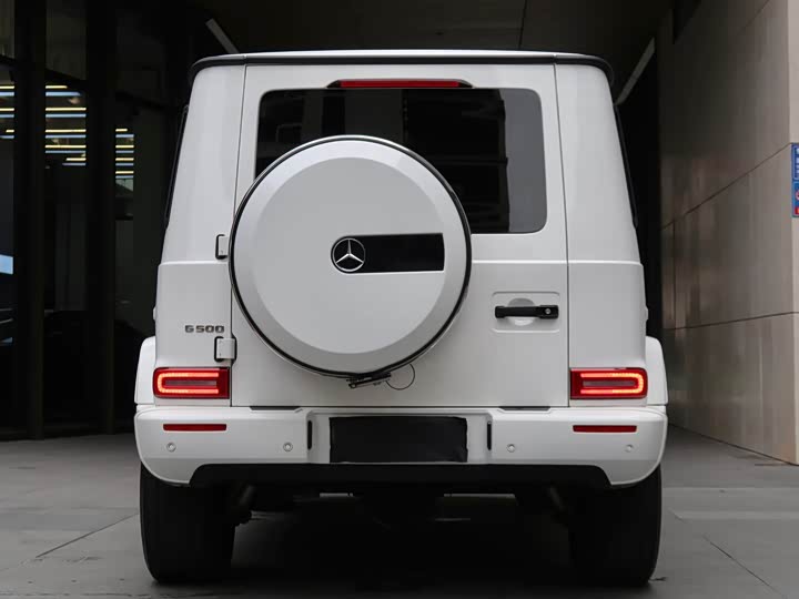 Фото 4 - Mercedes-Benz G-Class