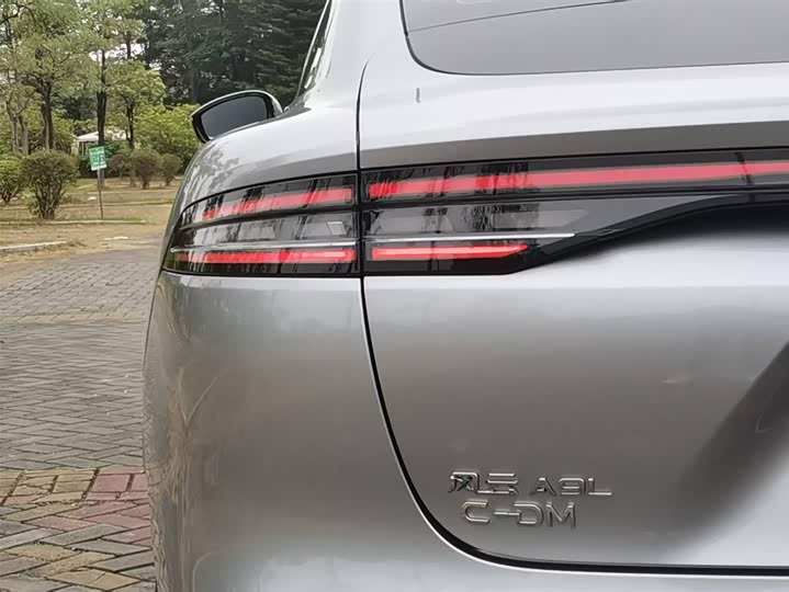 Фото 9 - Chery Fulwin A9L