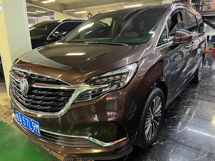 Фото 1 - Buick GL8 ES