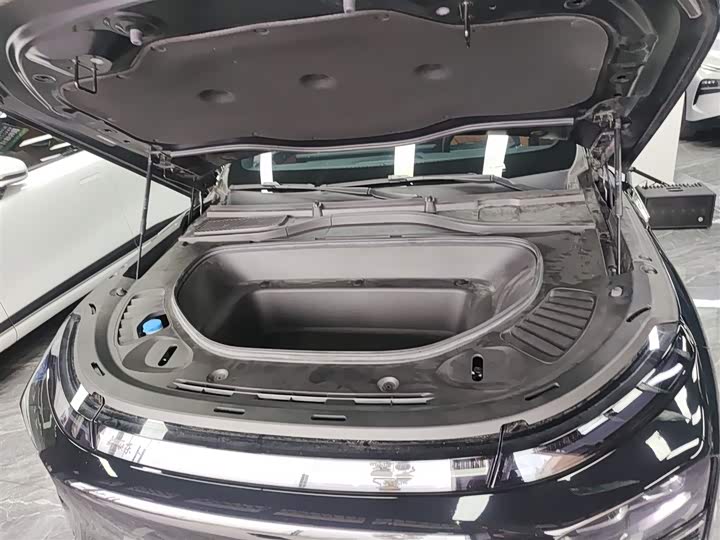 Фото 20 - XPeng G9