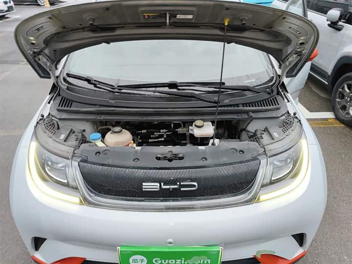 Фото 20 - BYD Dolphin