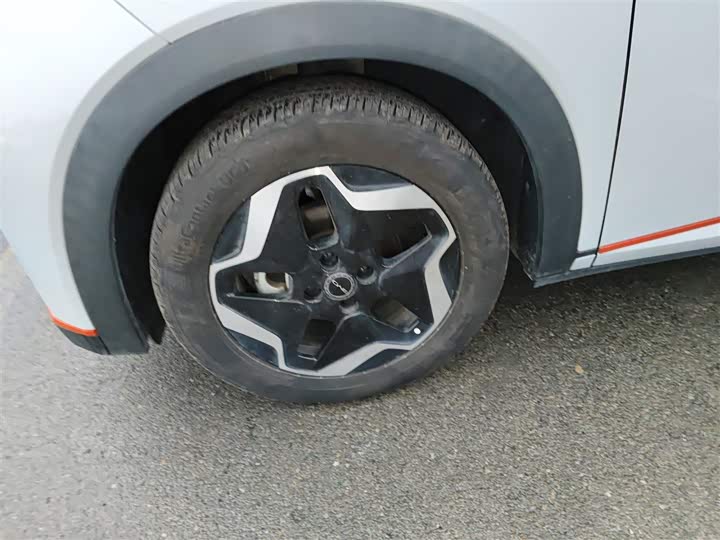 Фото 23 - BYD Dolphin