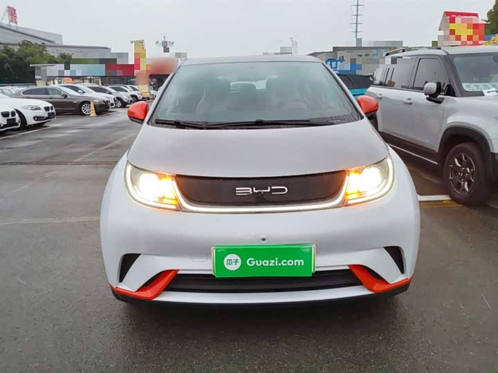 Фото 3 - BYD Dolphin