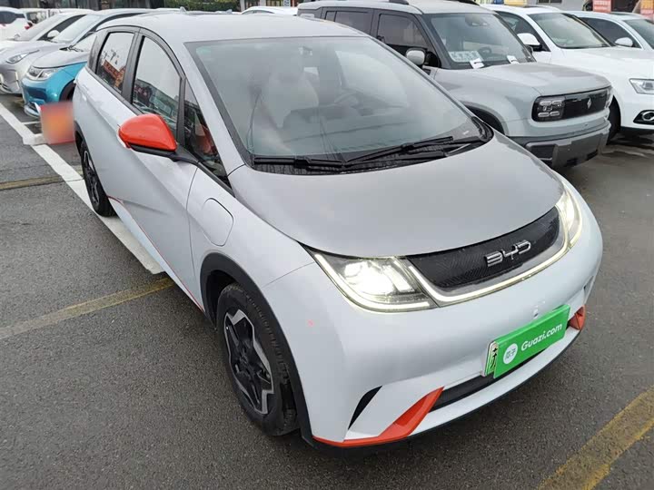 Фото 4 - BYD Dolphin