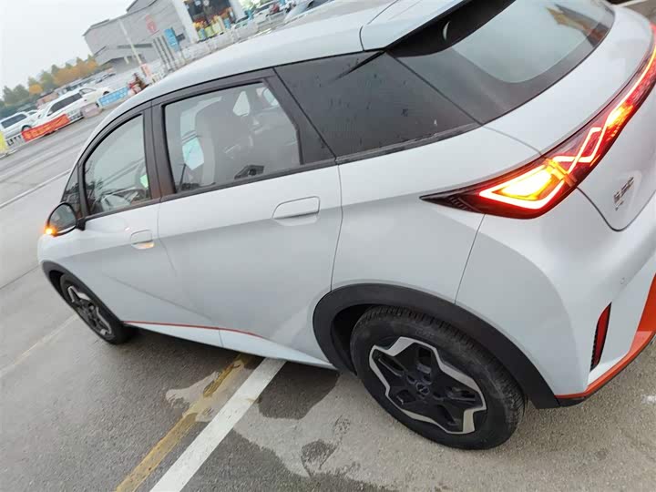 Фото 5 - BYD Dolphin