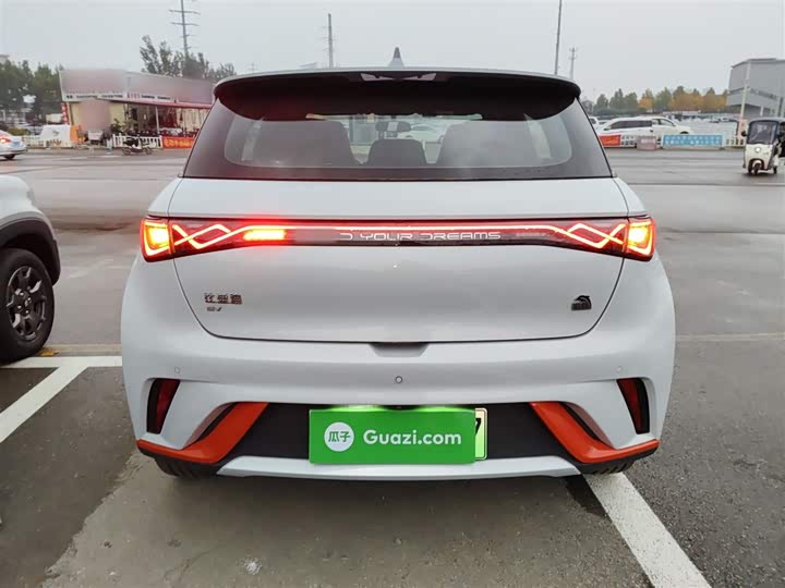 Фото 6 - BYD Dolphin