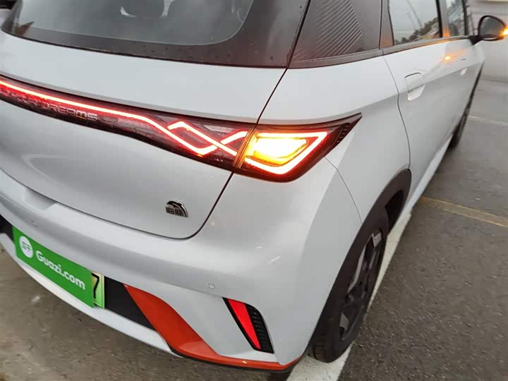 Фото 8 - BYD Dolphin