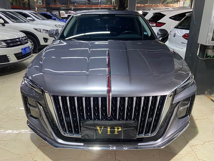 Фото 2 - Hongqi H5