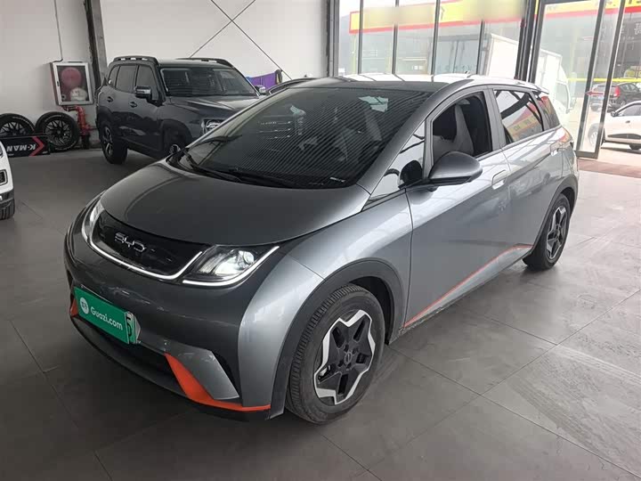 Фото 1 - BYD Dolphin