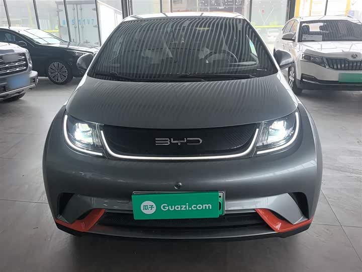 Фото 3 - BYD Dolphin