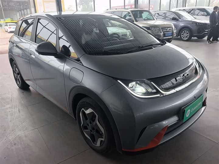 Фото 4 - BYD Dolphin