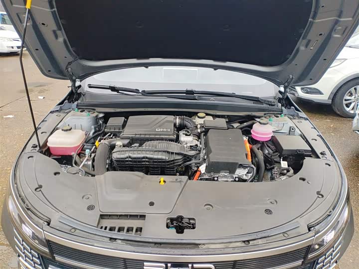 Фото 20 - BYD Destroyer 05