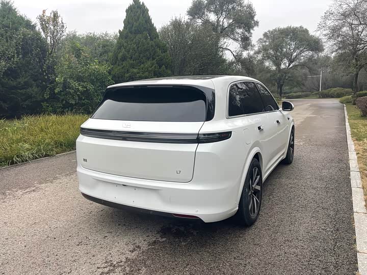 Фото 16 - LiXiang L7