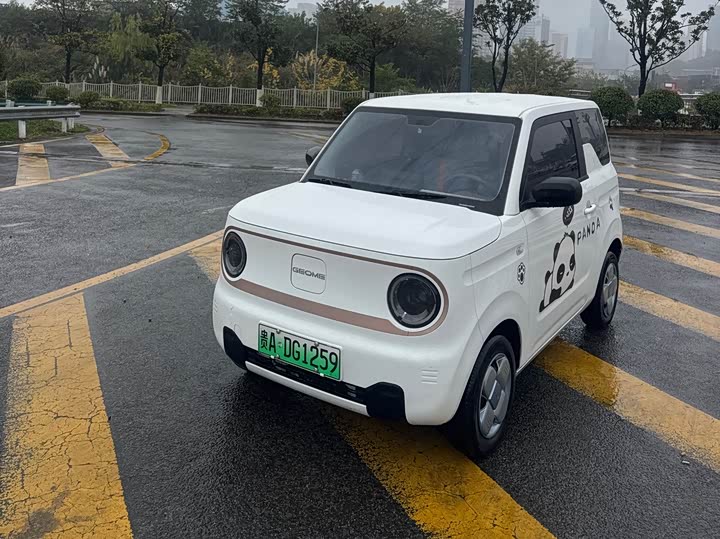 Фото 1 - Geely Galaxy Panda Mini