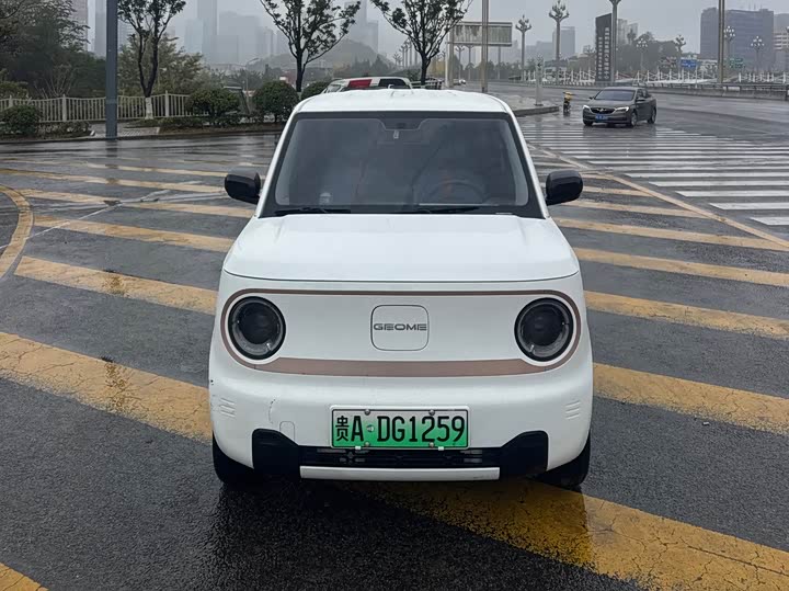 Фото 2 - Geely Galaxy Panda Mini