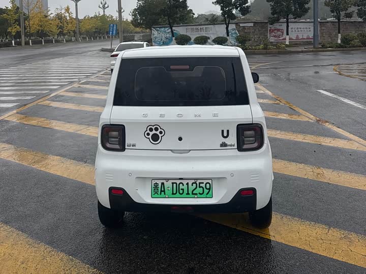Фото 4 - Geely Galaxy Panda Mini