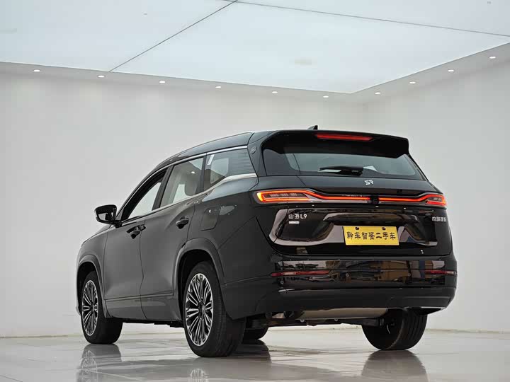 Фото 4 - Jetour Shanhai L9