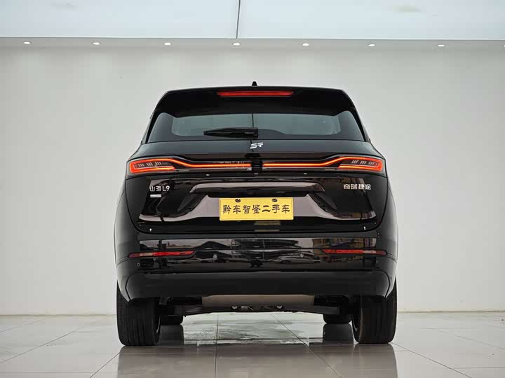 Фото 5 - Jetour Shanhai L9