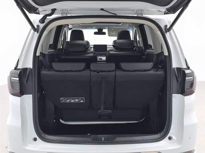 Фото 16 - Honda Elysion