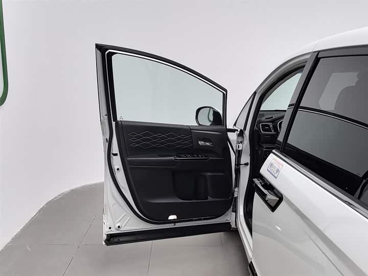 Фото 8 - Honda Elysion