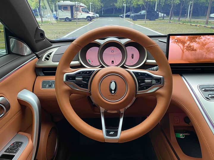 Фото 12 - Ora Lightning Cat (07)