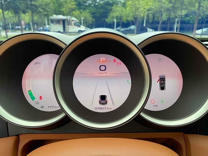 Фото 13 - Ora Lightning Cat (07)