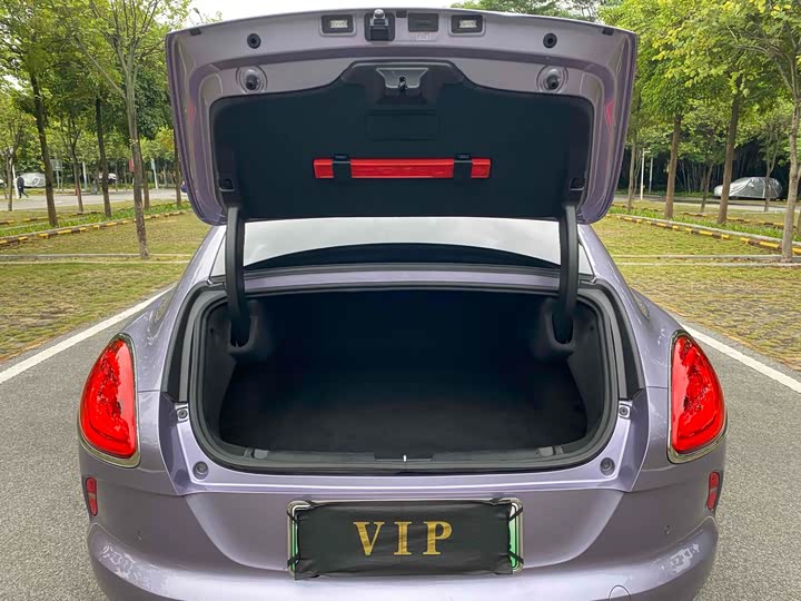 Фото 19 - Ora Lightning Cat (07)