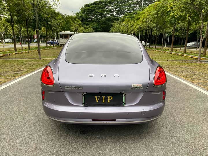 Фото 5 - Ora Lightning Cat (07)