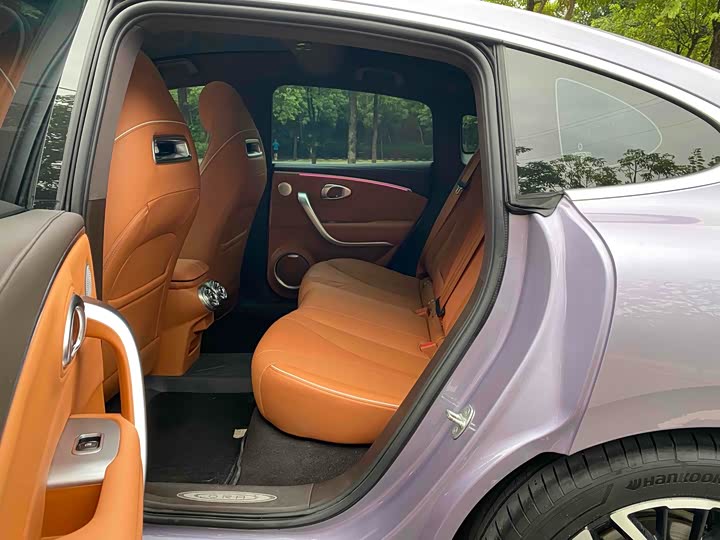 Фото 8 - Ora Lightning Cat (07)