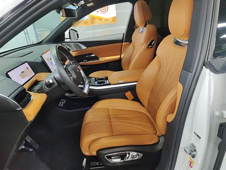 Фото 15 - XPeng G9