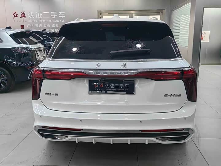 Фото 10 - Hongqi E-HS9