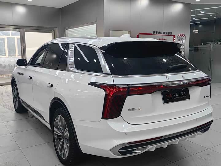 Фото 11 - Hongqi E-HS9