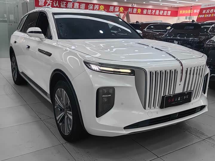 Фото 3 - Hongqi E-HS9