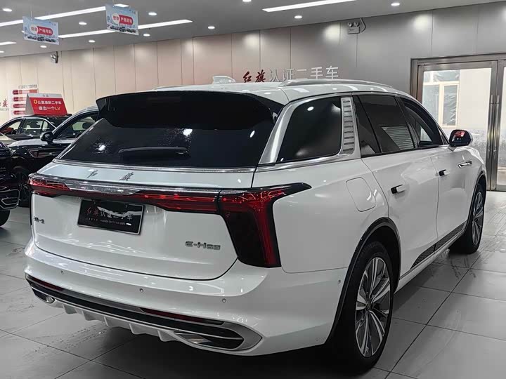 Фото 9 - Hongqi E-HS9