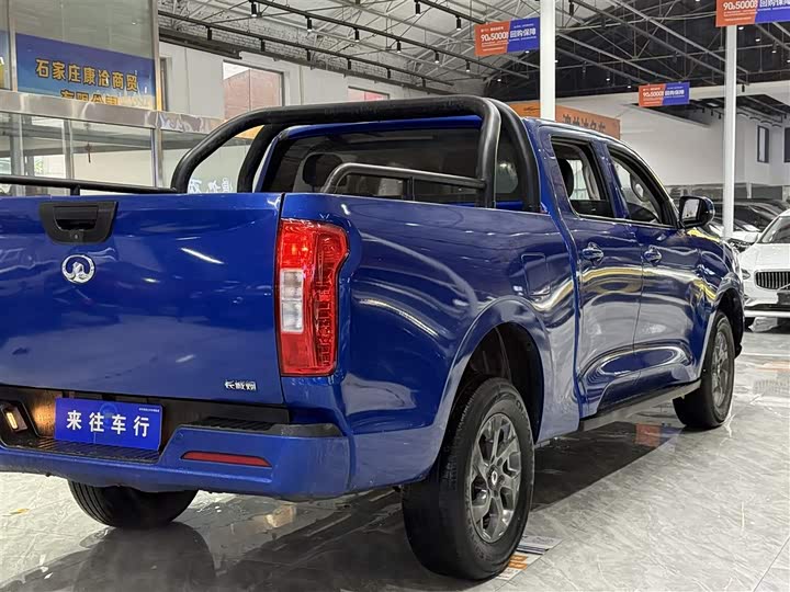 Фото 5 - Great Wall Pao