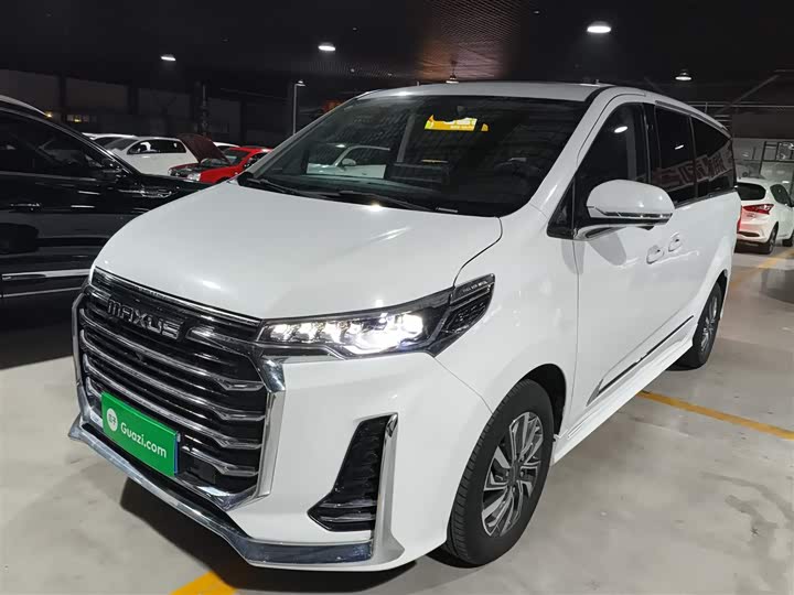 Фото 2 - Maxus G20