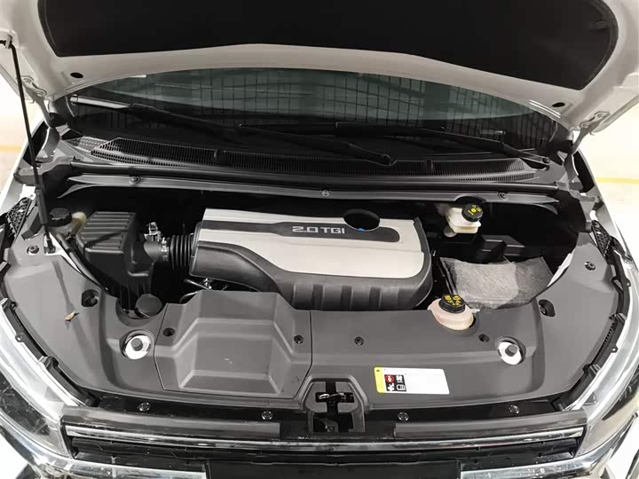 Фото 20 - Maxus G20